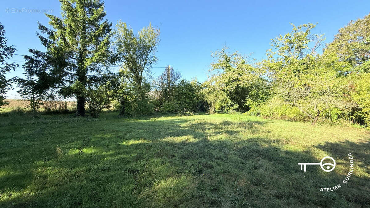 Terrain à OUZOUER-LE-MARCHE