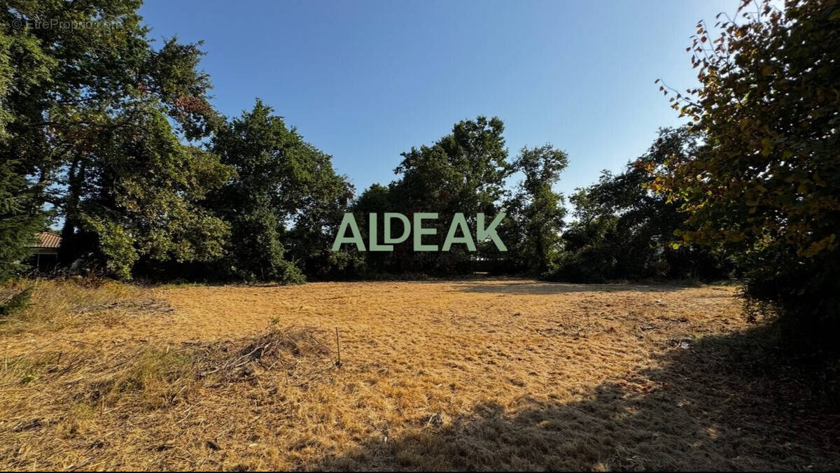 Terrain à LEGE-CAP-FERRET