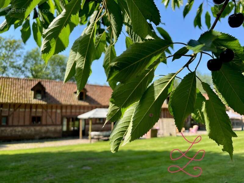 Domaine touristique - photo 9
