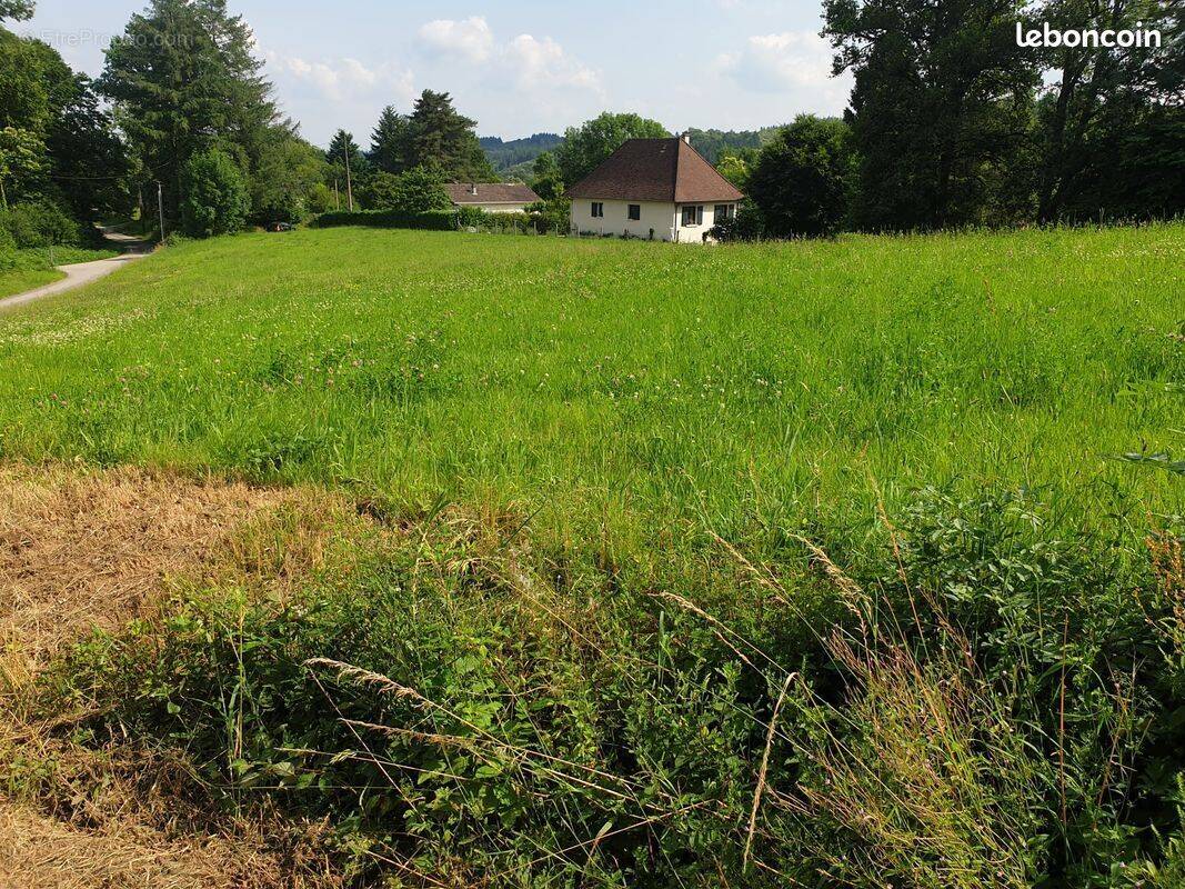 Terrain à LAGARDE-ENVAL