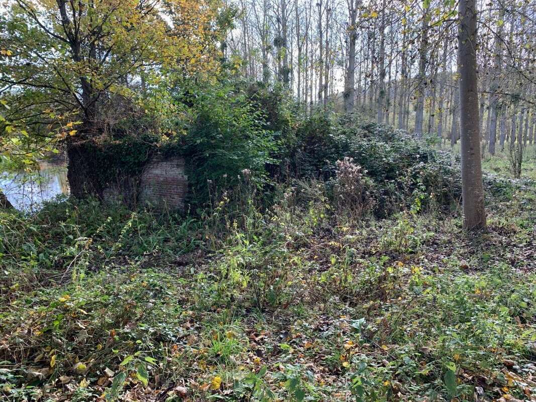 Terrain 88923 m² à Tordouet  - photo 3