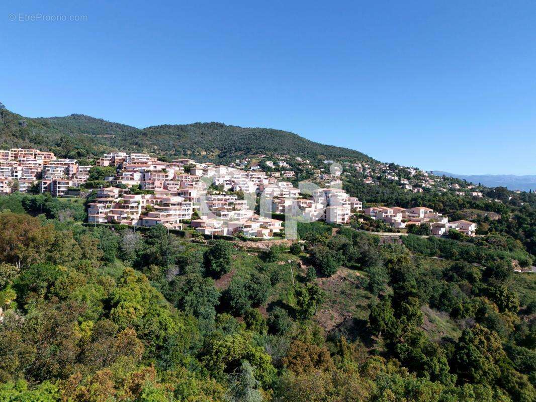Maison à MANDELIEU-LA-NAPOULE