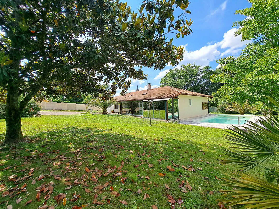 Maison à VILLENEUVE-DE-MARSAN