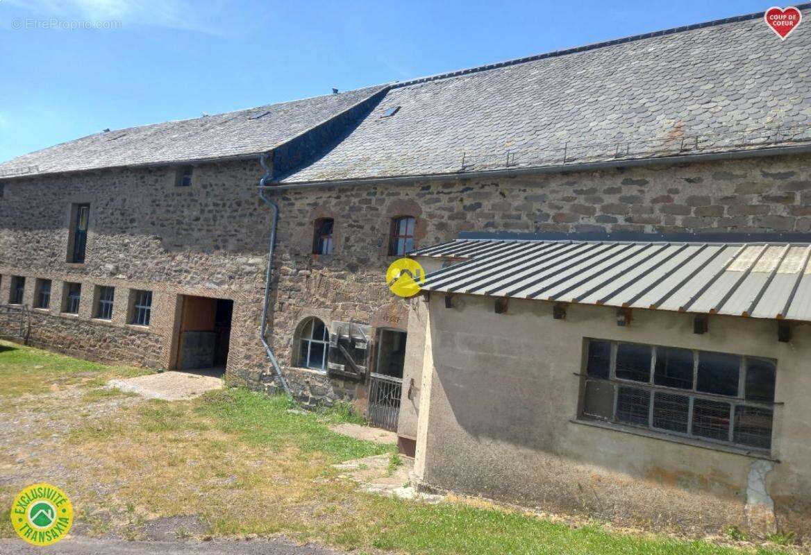Maison à MASSIAC