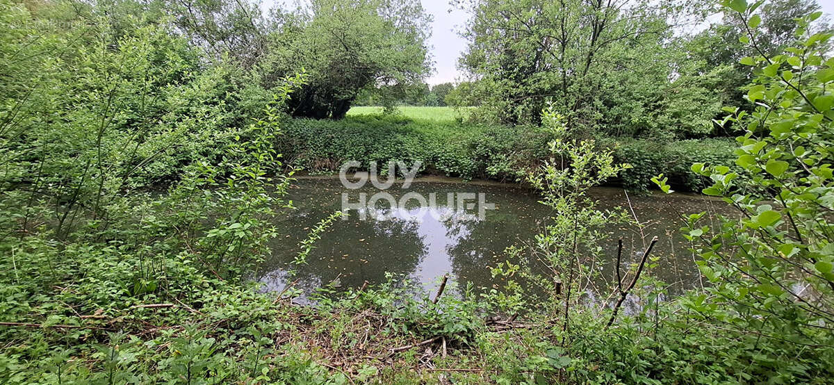Exclusivité Guy Hoquet : Maison spacieuse 6 pièces à vendre à Hesdin la Forêt - photo 4