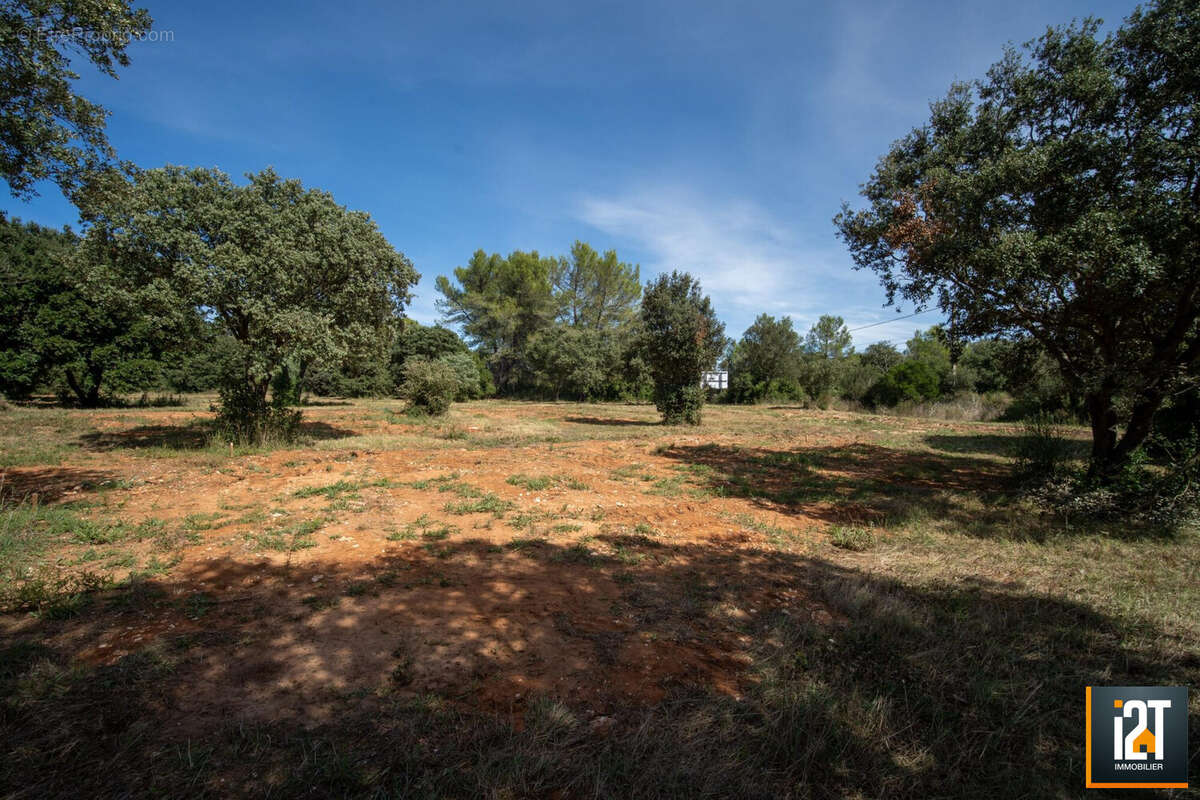 Terrain à SAINT-SIFFRET