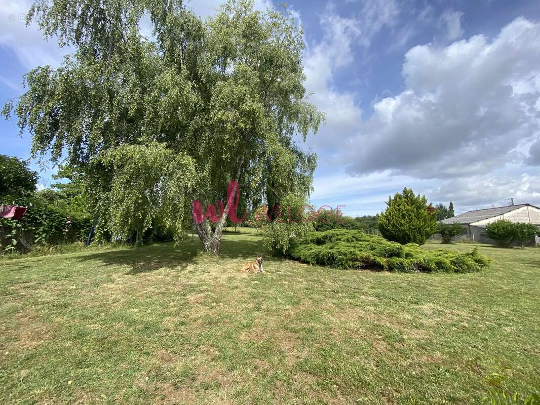 Plassac - propriété 150m² + gîte de charme - photo 4