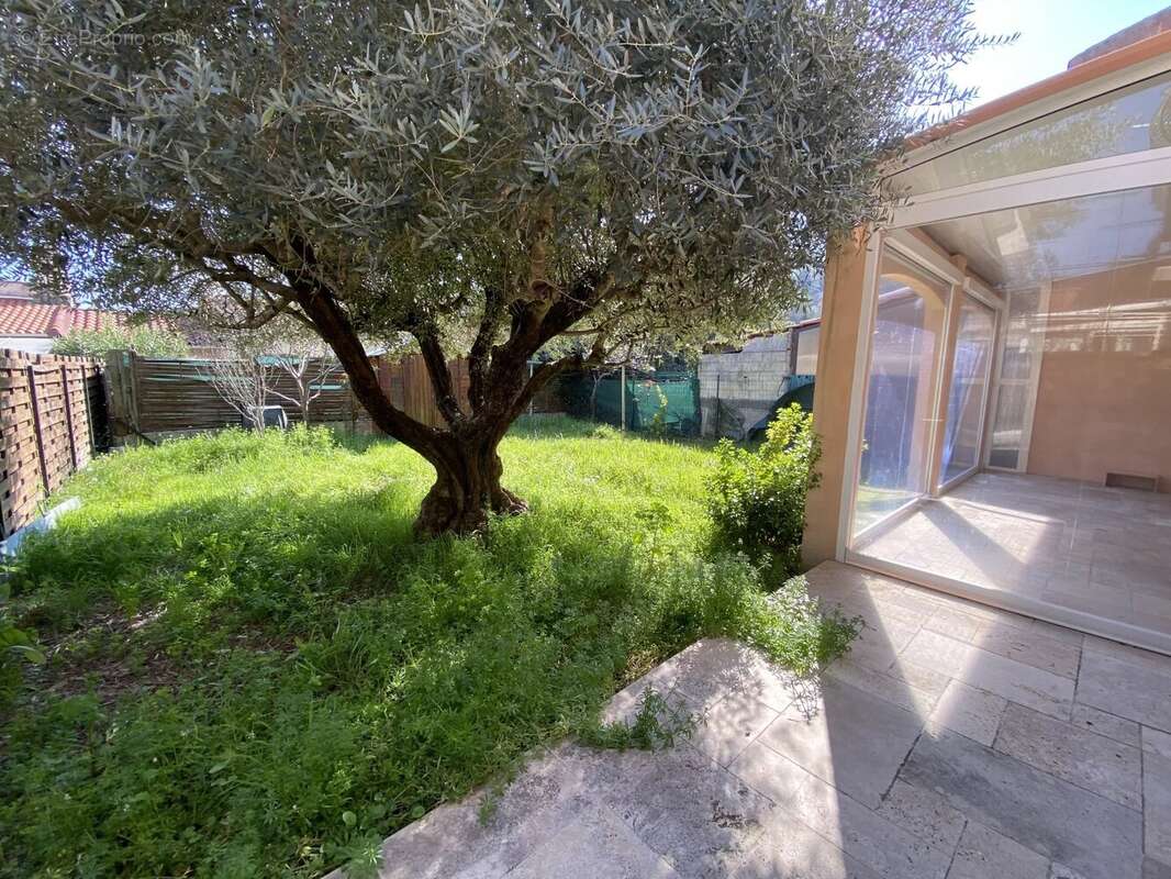 Maison à CONTES