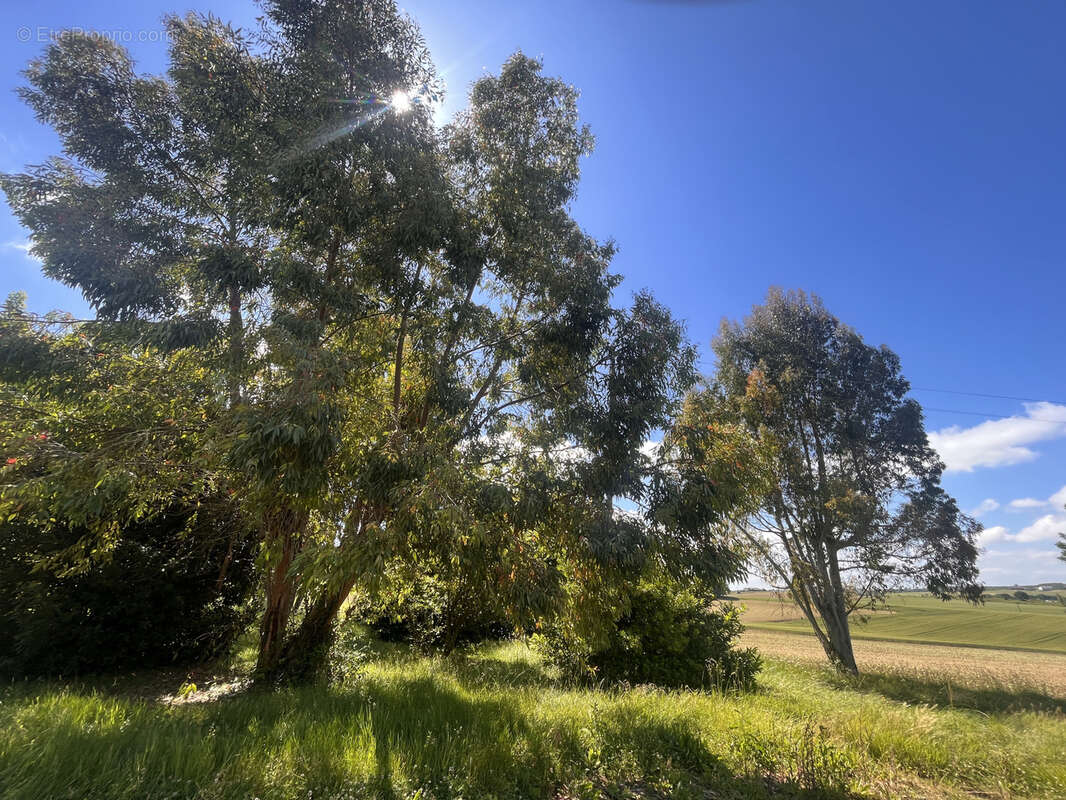 Maison à SAINT-CLAR