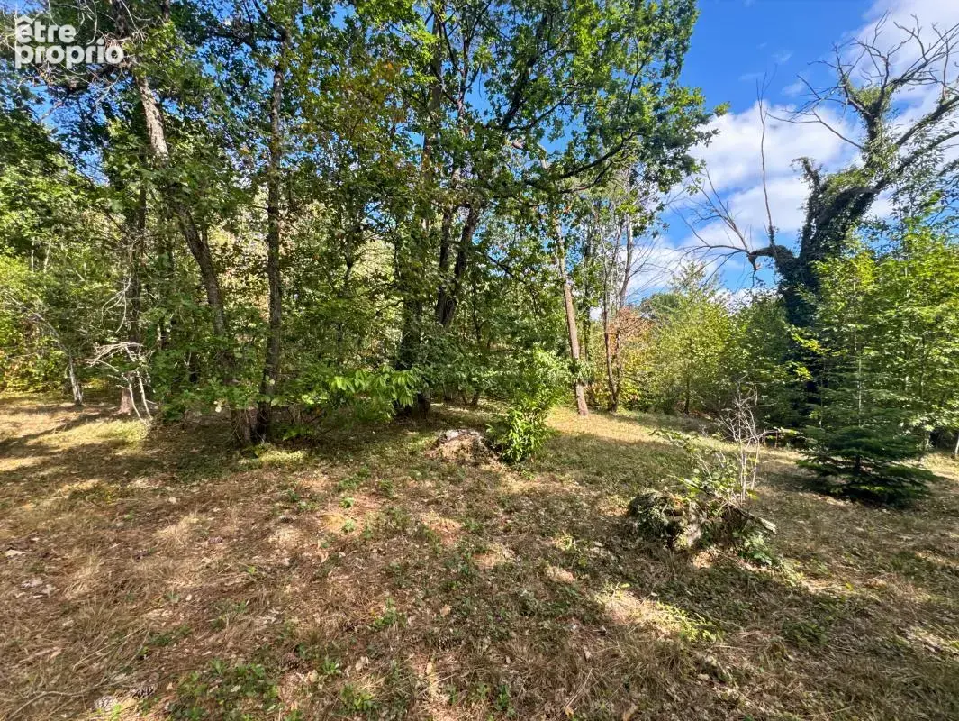 Chancelade – propriété de caractère aux volumes remarquables, au cœur d’un parc clos de 1,5 hectare - photo 26