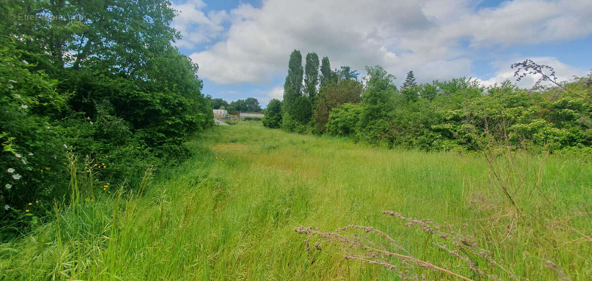 Terrain à SAUMUR