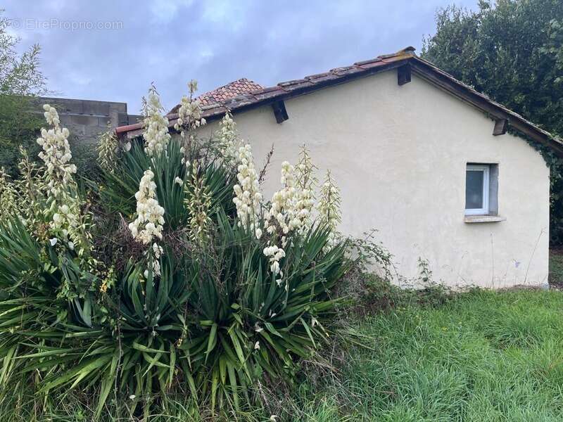 Terrain à BEYCHAC-ET-CAILLAU