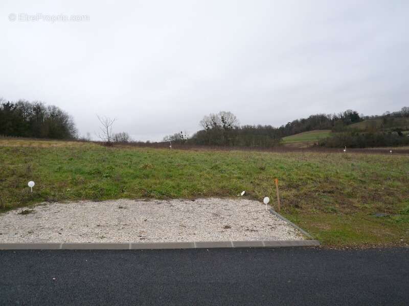 Terrain à SAINT-LAURENT-DE-COGNAC