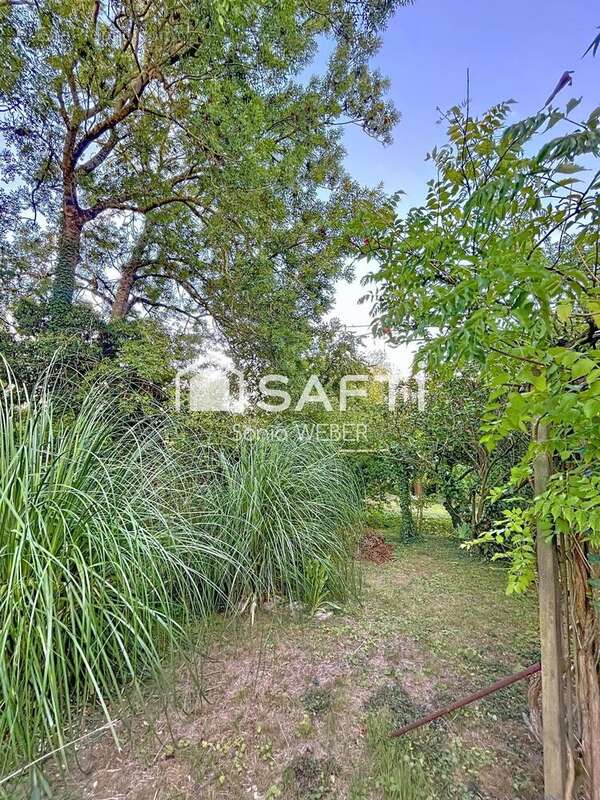 Photo 8 - Maison à VITRY-LE-FRANCOIS