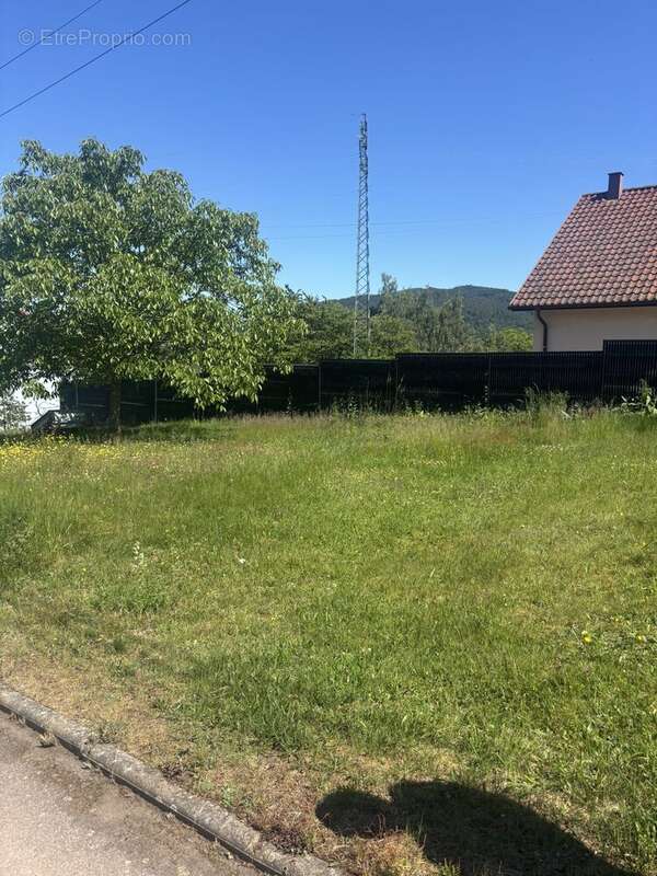 Terrain 352 m² à Lutzelhouse  - photo 2