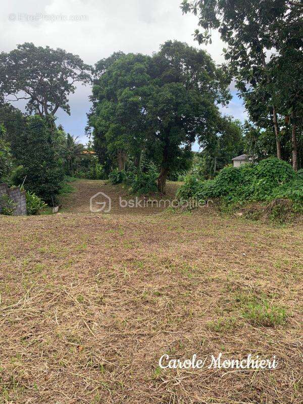 Terrain à CAPESTERRE-BELLE-EAU