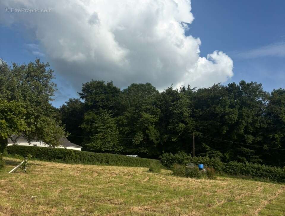 Terrain à ETALLEVILLE