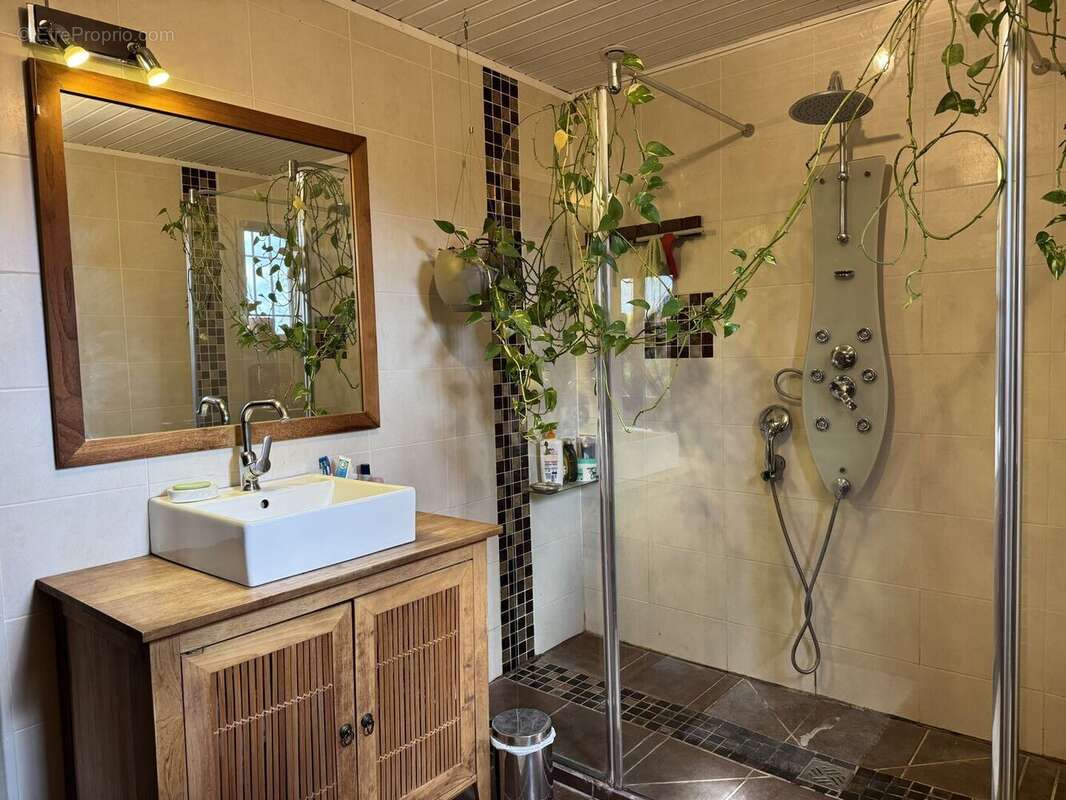 IMG2290 - Maison à MEYRALS