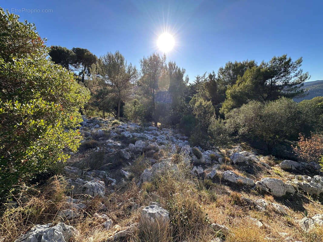 Terrain à DRAP