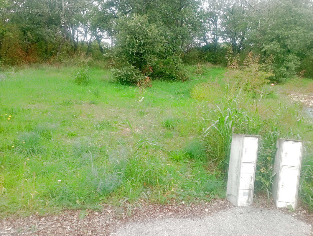 Terrain à BAGNOLS-SUR-CEZE