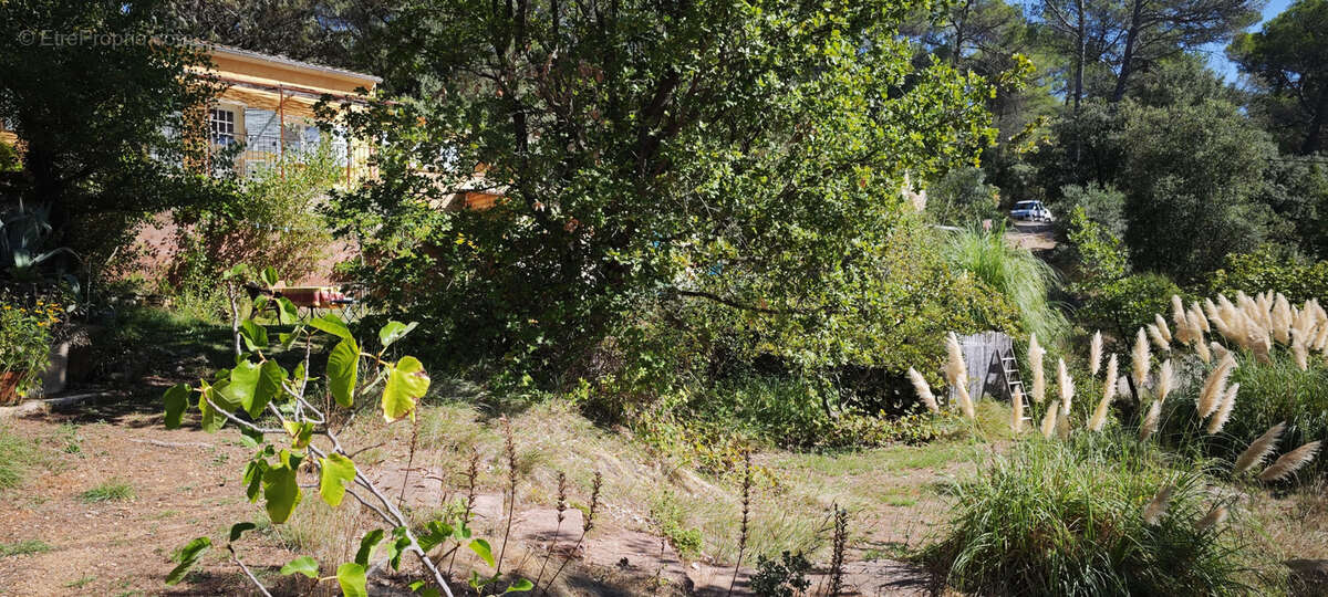 Propriété avec dépendances et vue montagne à Barjols - photo 2