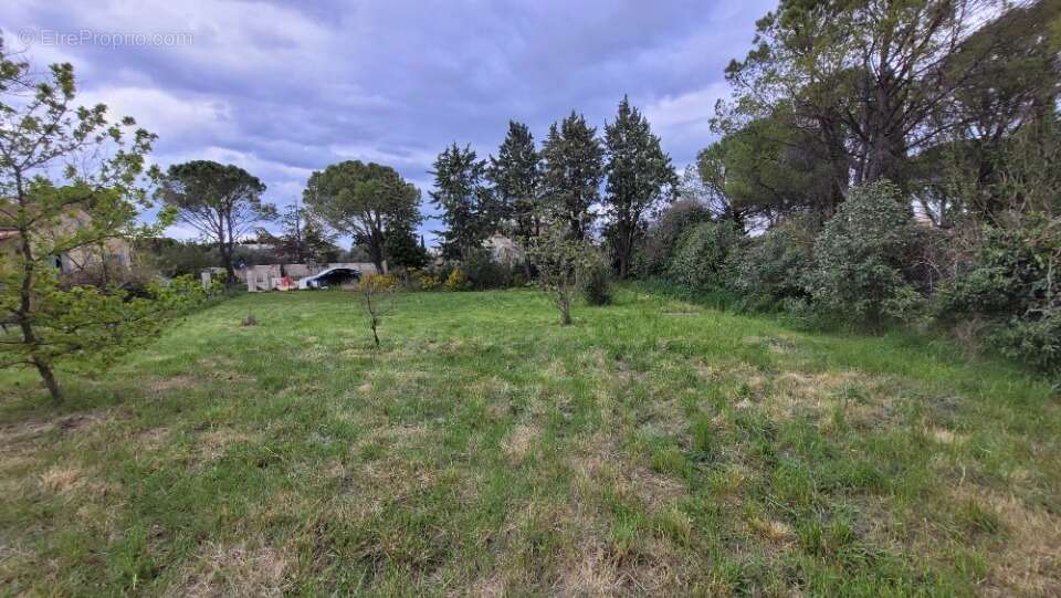 Terrain à SAINTE-CECILE-LES-VIGNES