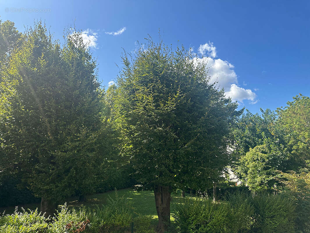 Appartement à FONTAINE