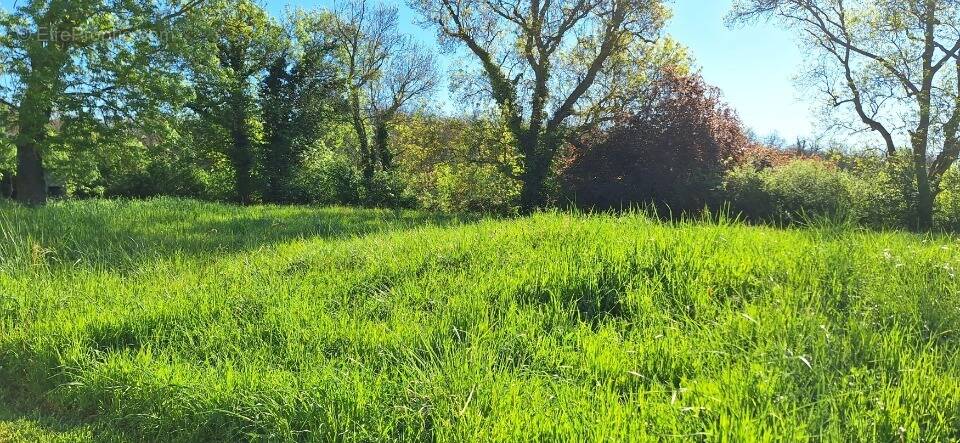 Terrain à FONTENILLES