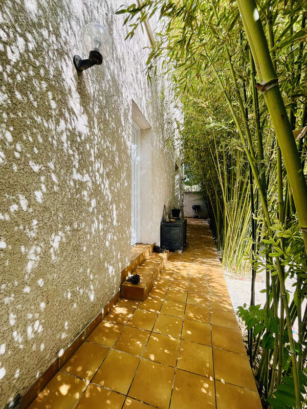 Maison à FRONTIGNAN