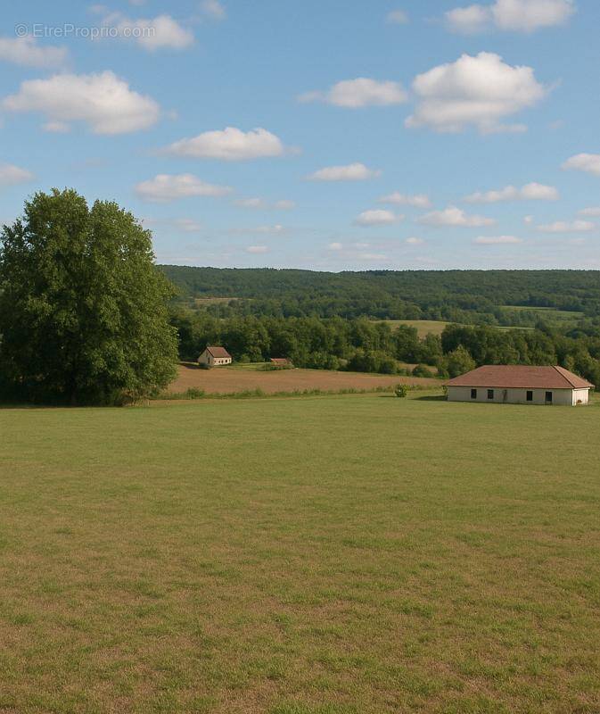Terrain à THONAC