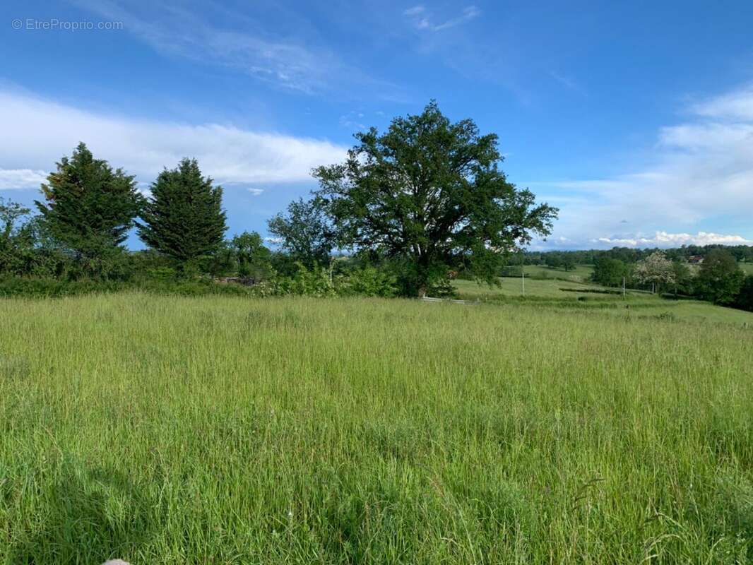 Terrain à MELAY