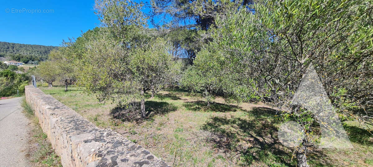 Terrain à SALERNES
