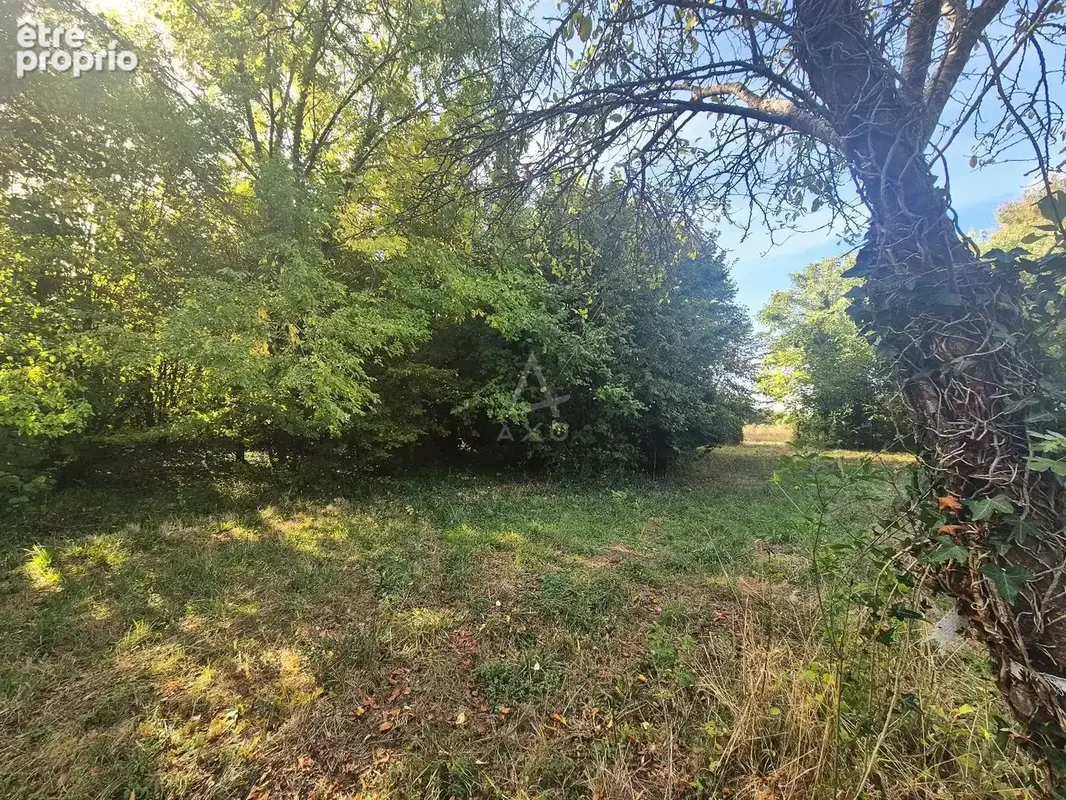 Maison en pierre à rénover - Projet 140 m² - Terrain 6300 m² - photo 3