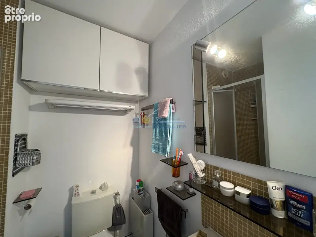 Appartement T1  traversant SH 25 M2  avec loggia et  parking privé - photo 7
