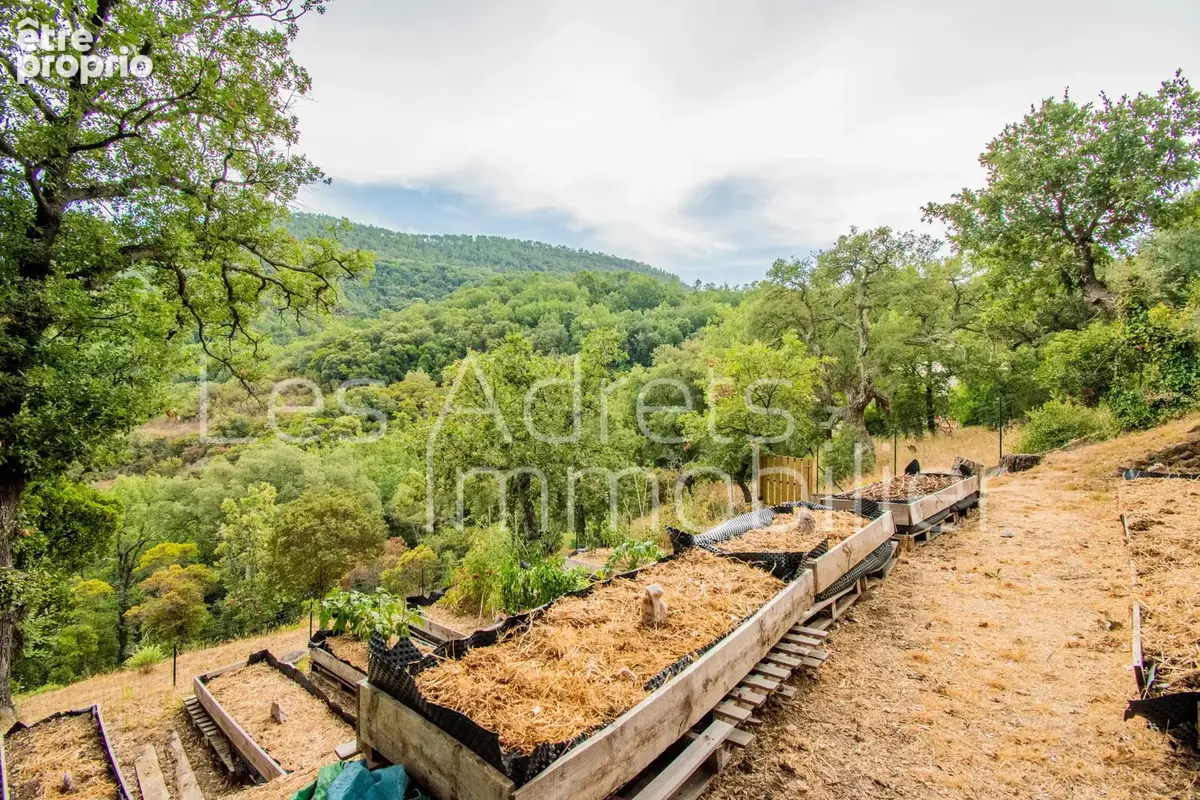 Maison au calme avec 4 chambres, grand terrain et superbe potentiel - photo 28