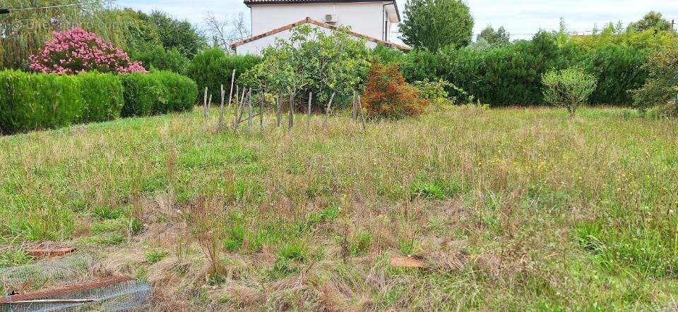 Terrain à PLAISANCE-DU-TOUCH