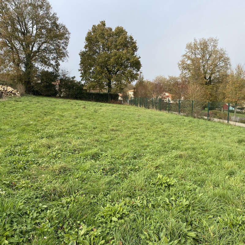 Terrain à MORTAGNE-SUR-SEVRE
