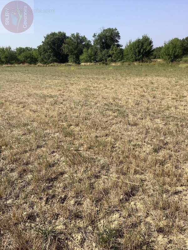 Terrain constructible de 3706 m² pour differents projets de construction - photo 2