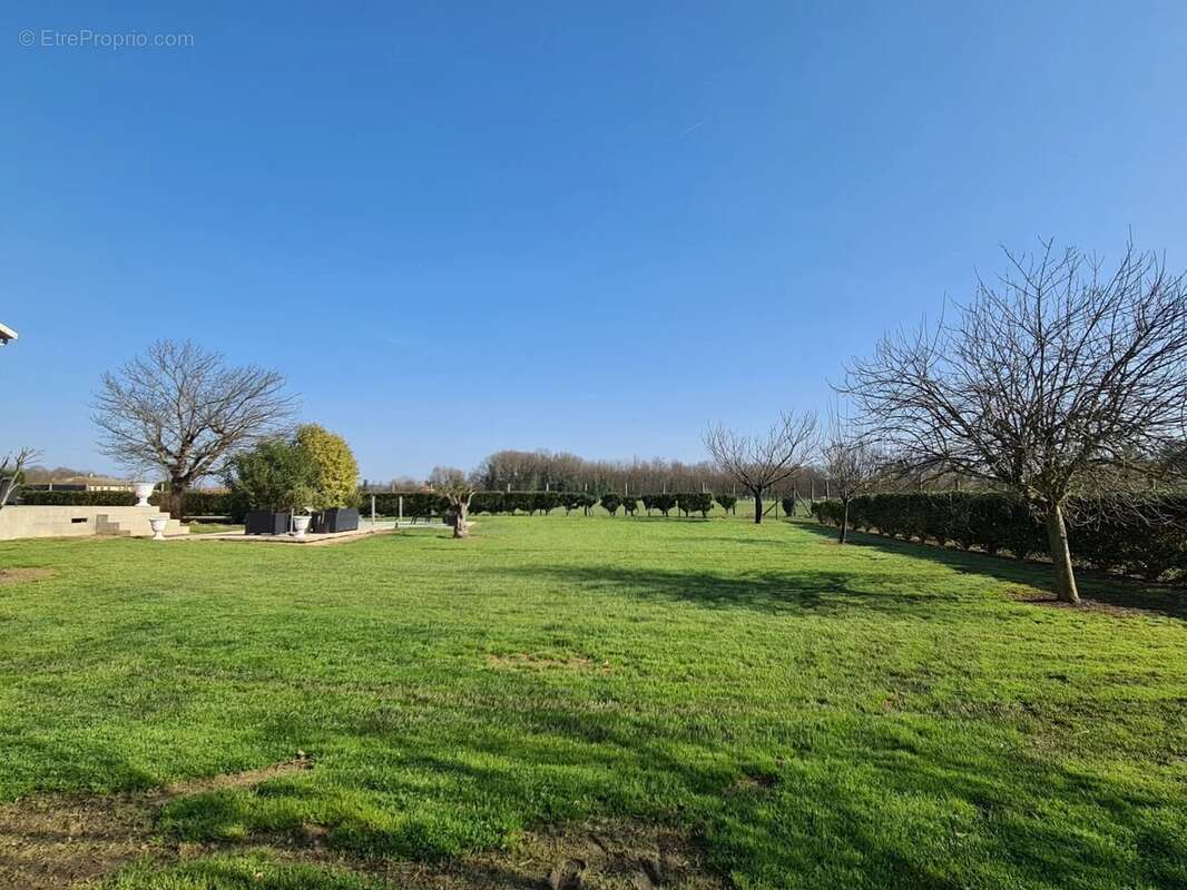 Maison à VILLEMUR-SUR-TARN