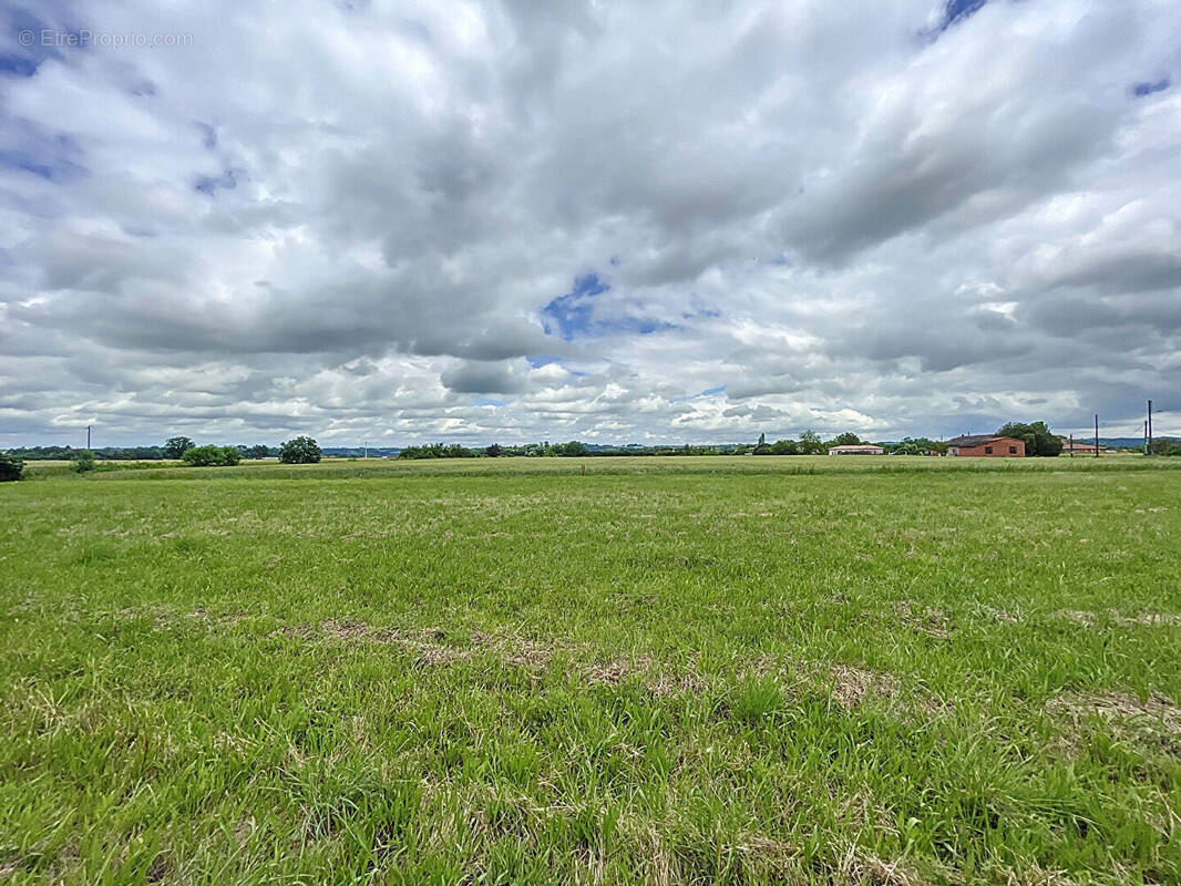 Terrain à VILLEMUR-SUR-TARN