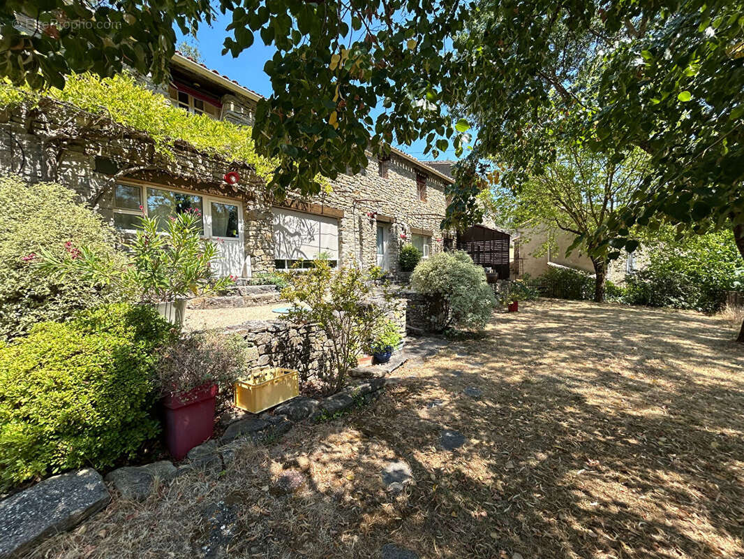 Maison au Sud de Carcassonne dans les Corbières - photo 12