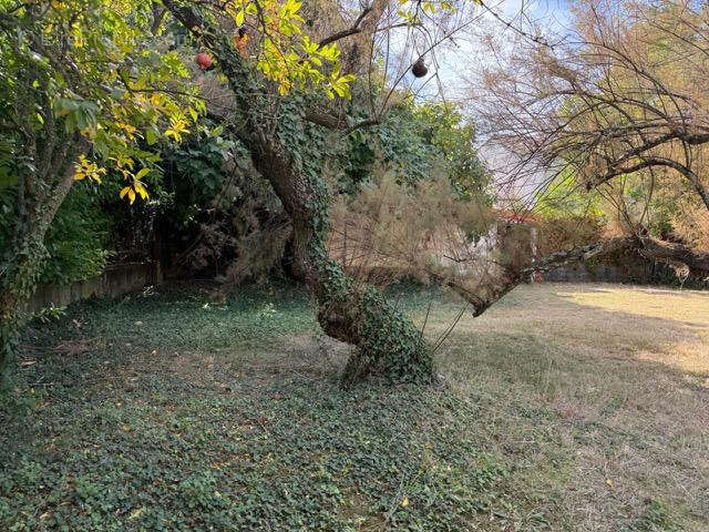 Terrain à VILLEVIEILLE