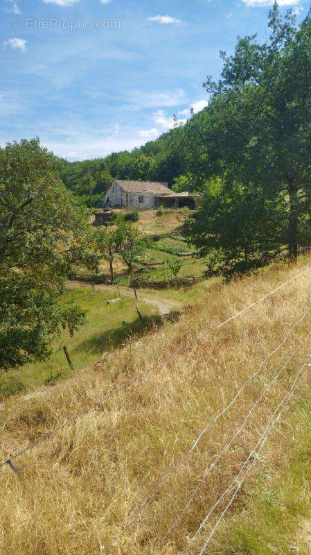 Rare ! propriété coup de coeur ! - photo 5