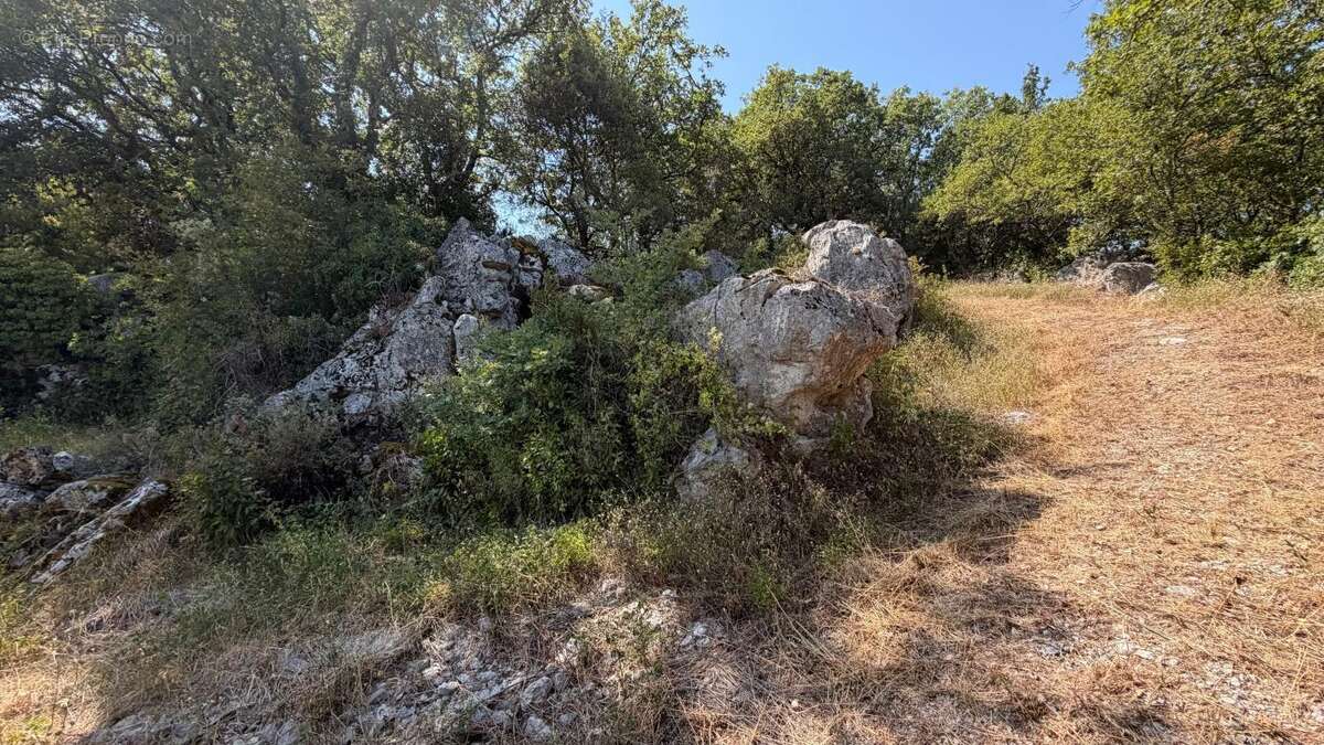 Terrain À Vendre 1500 m² - photo 4