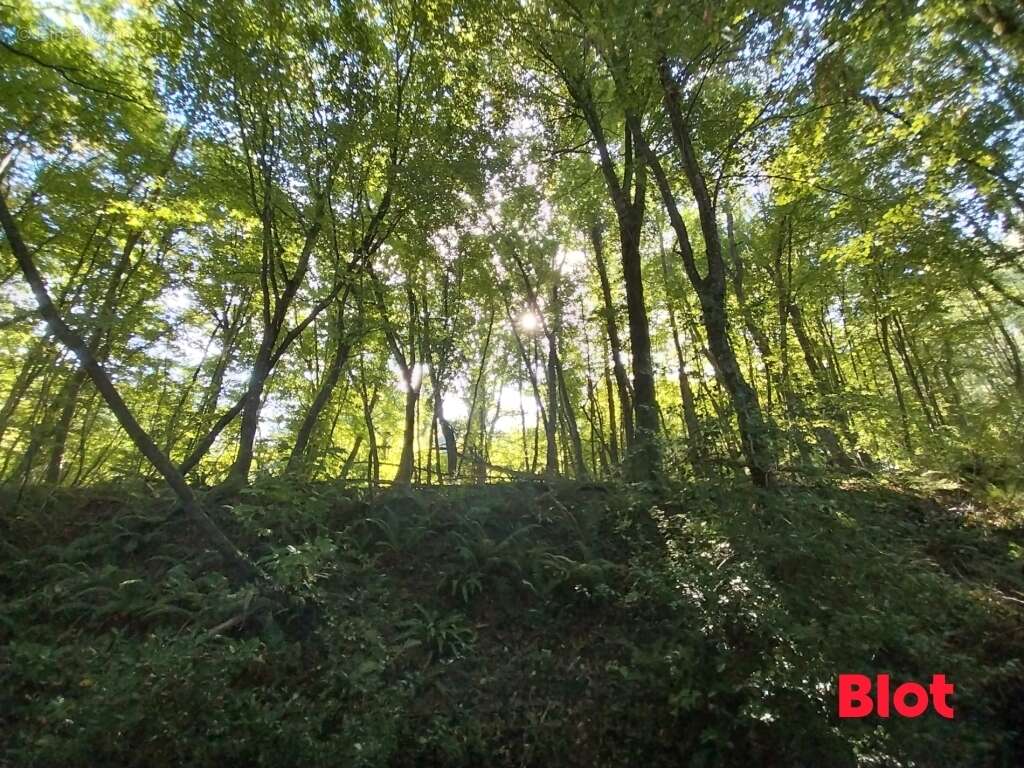 Terrain à LA VICOMTE-SUR-RANCE