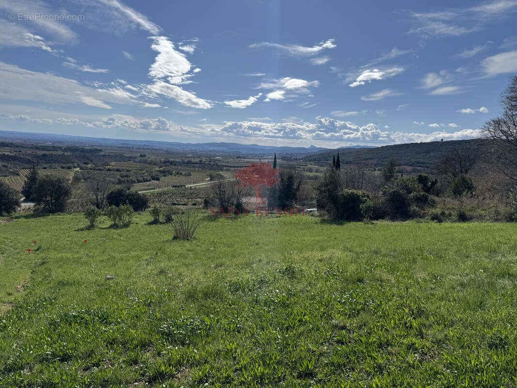 Terrain à ARBORAS
