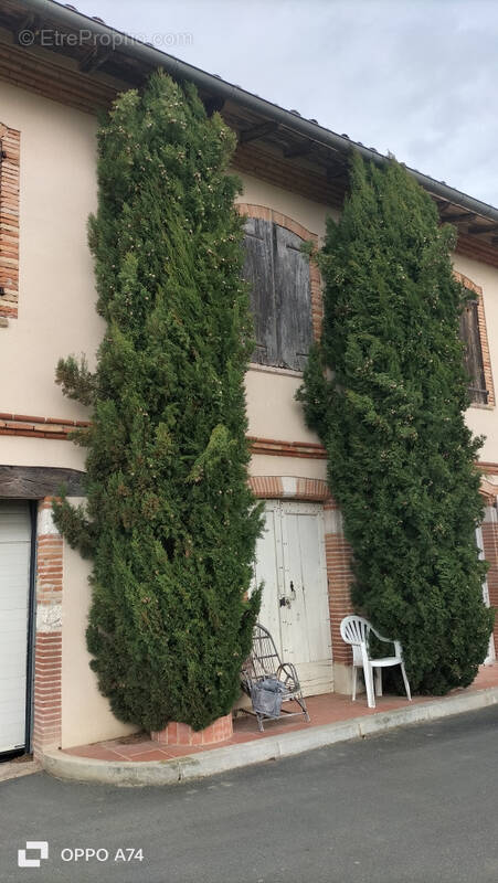 Maison à LISLE-SUR-TARN