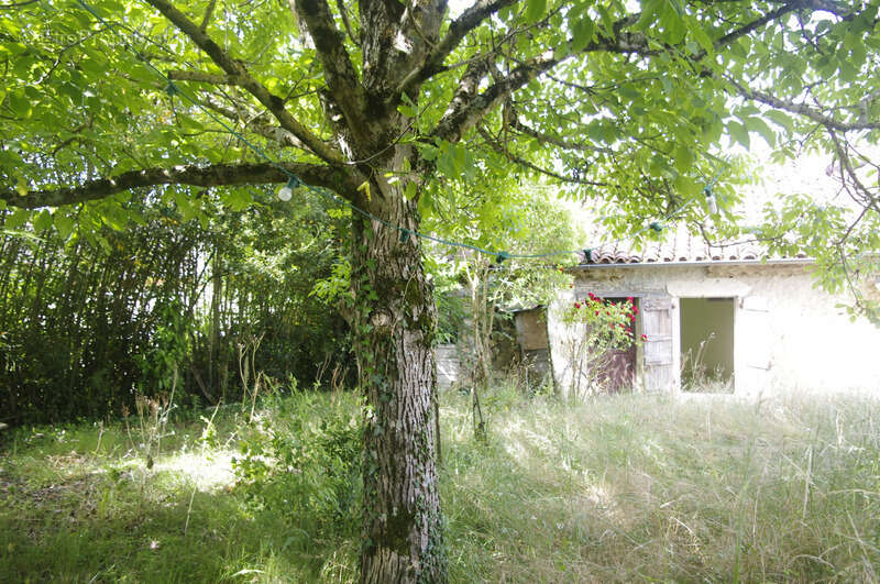 Maison à VIC-FEZENSAC