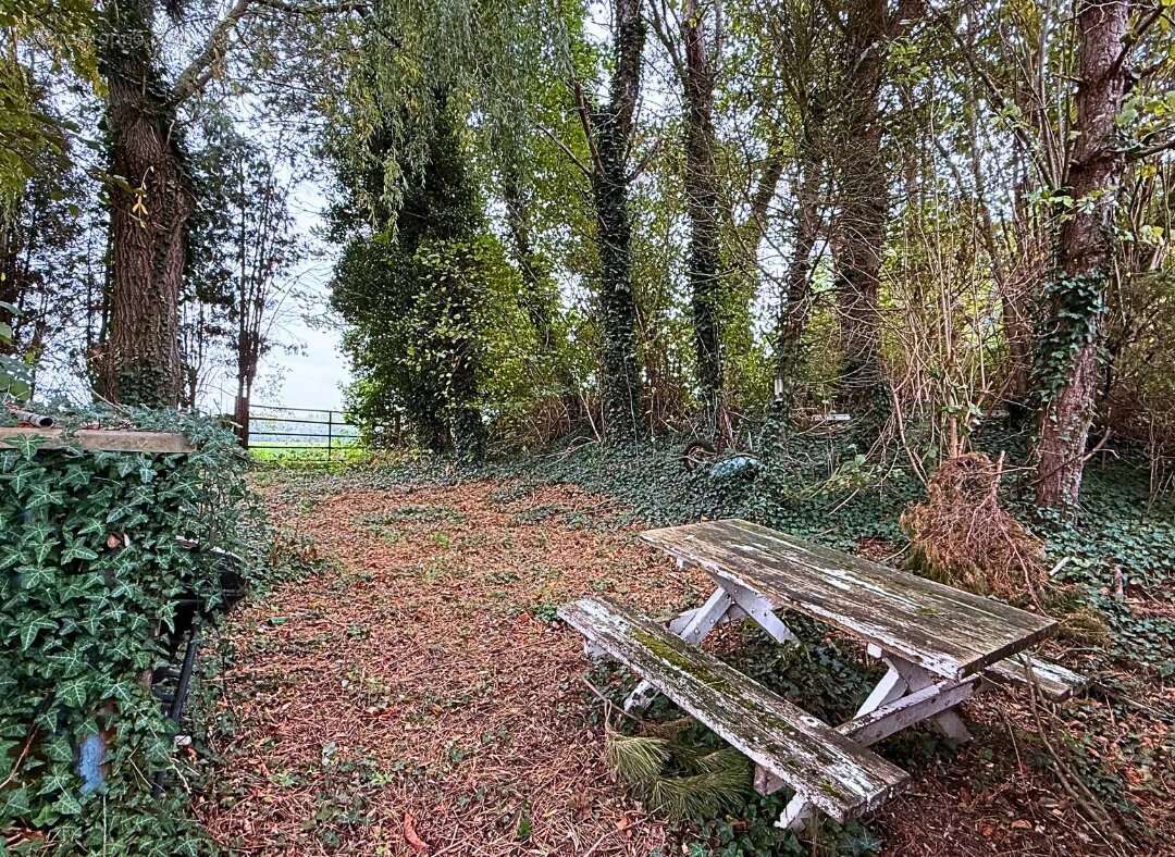 Terrain à WANDIGNIES-HAMAGE