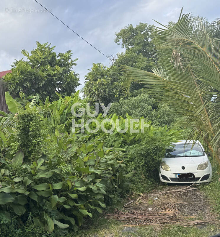 Terrain à LE TAMPON